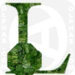 Leeks  