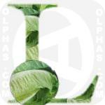 Lettuce  