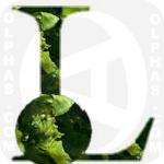 Lettuce  