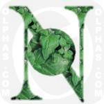 NewZealand Spinach  