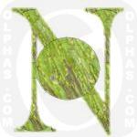 Nopal  