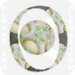 Okra  