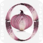 Onion