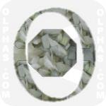 Onion  
