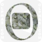 Onion  