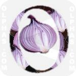 Onion