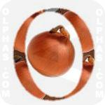 Onion