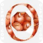 Onion  