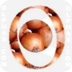 Onion  