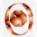 Onion  