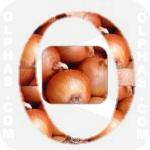 Onion  