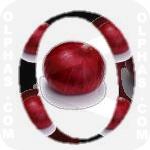 Onion