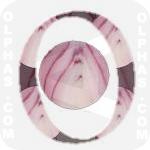 Onion  
