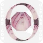 Onion  