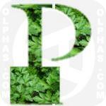 Parsley