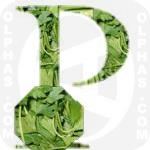 Parsley  
