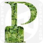 Parsley  