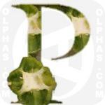 Pepper cross
