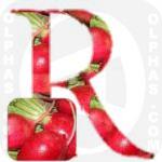 Radish  
