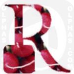 Radish  