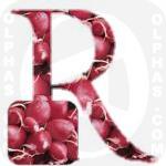 Radish  