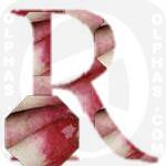 Radish  
