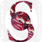 Sorrel  