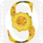Squash