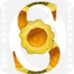 Squash