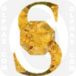 Squash  