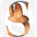 Sweet Potatoes