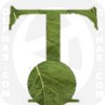 Turnipgreens  