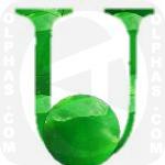 Ulva Lactuca  