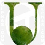 Ulva Lactuca  