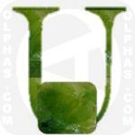 Ulva Lactuca  