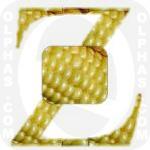 Zea Mays  