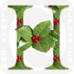 Holly2
