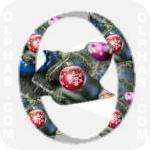 Ornaments5