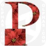 Poinsettia2