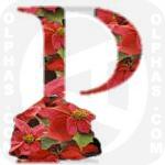 Poinsettia