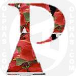 Poinsettia