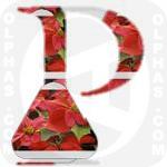 Poinsettia