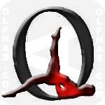 OneLegBridge R