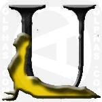 UpwardFacingDog Y